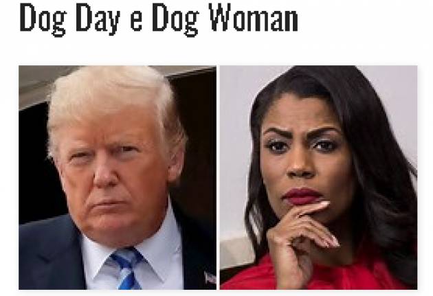 Dog Day e Dog Woman by Oscar Bartoli , Letter from Washington DC