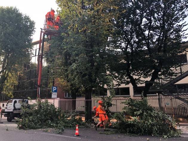  Cremona: ciclabile di viale Trento e Trieste, riqualificazione del verde e niente modifiche alla viabilità