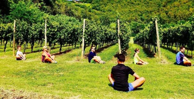 Ginnastica fra i filari della Cantina Al Rocol in Franciacorta