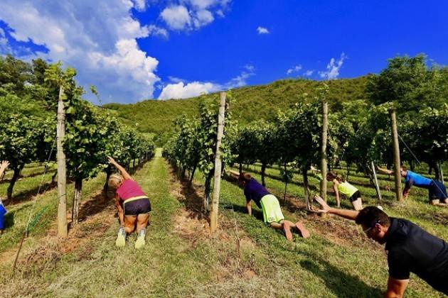 Ginnastica fra i filari della Cantina Al Rocol in Franciacorta