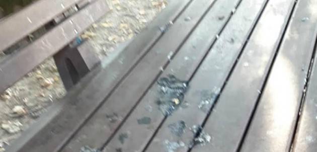 Vescovato (CR): vandali al Parco di Ca' De Stefani