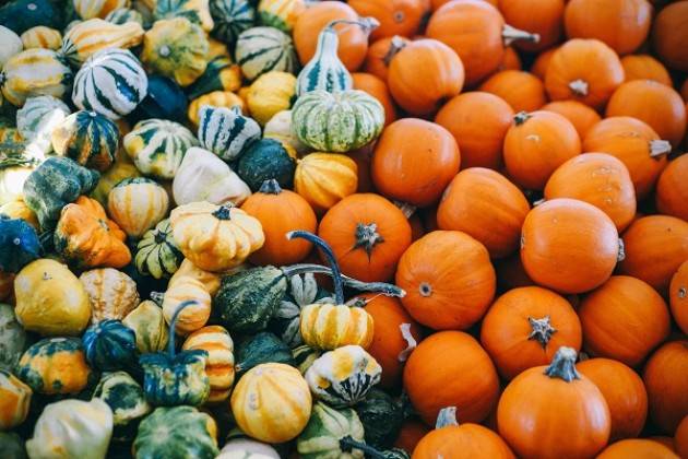 Festa della Zucca a Casalmaggiore: Campagna Amica in piazza Garibaldi