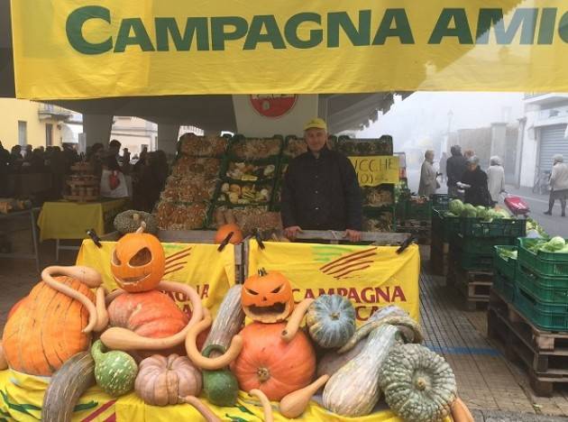 Coldiretti Domenica 30 settembre  al Mercato di Campagna Amica a Crema il ‘festival della zucca’ e  ‘l’oasi dell’uva’