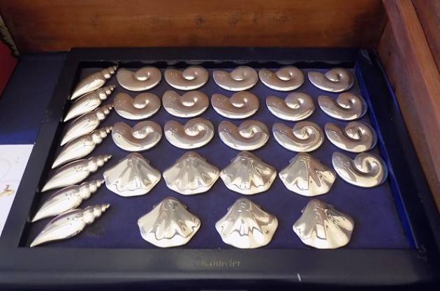 (Video) Un inno alla bellezza di Cremona  Inaugurata  la mostra dedicata all'artista Anselmo Bucci