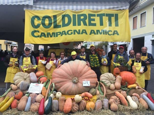 Grande successo per zucche e uva, regine del mercato di Campagna Amica a Crema