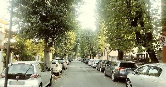 Crema: eradicati una trentina di bagolari. Al loro posto dei parcheggi    