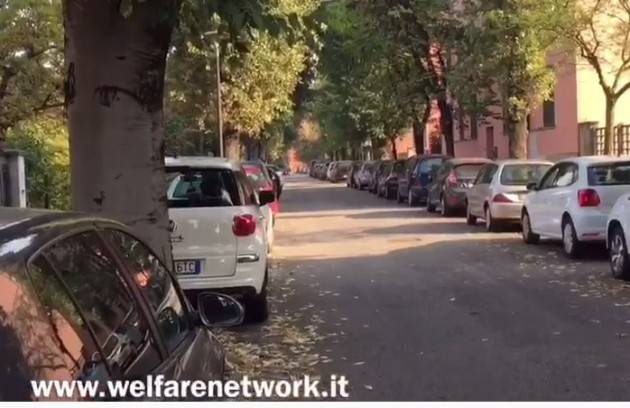 Crema Taglio alberi di Via Bacchetta.M5S,Verdi e Fiab criticano la giunta Bonaldi (Video)