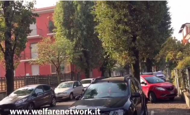 Crema Taglio alberi di Via Bacchetta.M5S,Verdi e Fiab criticano la giunta Bonaldi (Video)