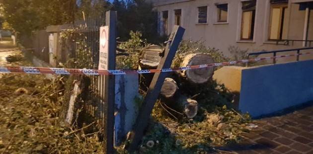 Cremona: cade un alberto sul cancello della Scuola Media 'Anna Frank'