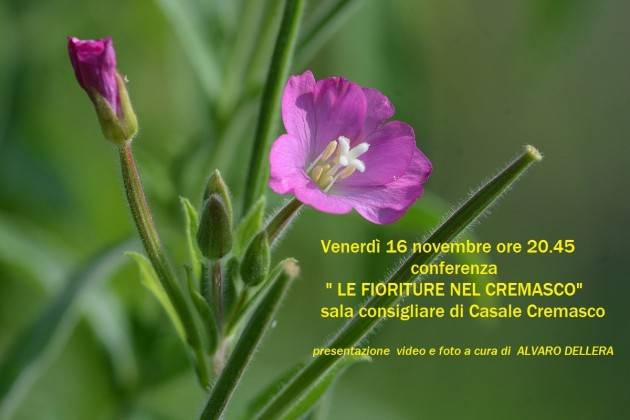 Casale Cremasco Serata sule fioriture nel Cremasco il 16 novembre