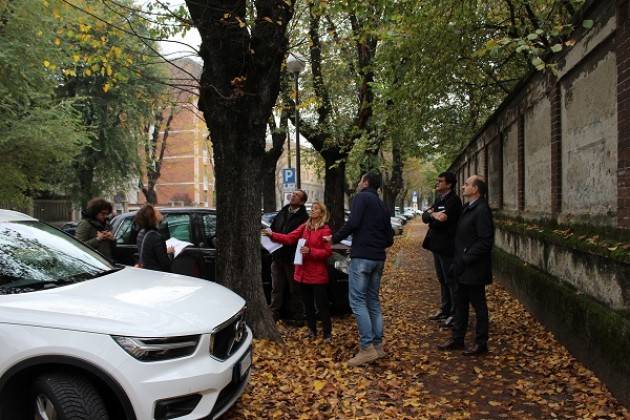 Cremona: ciclabile di viale Trento Trieste, i lavori procedono celermente