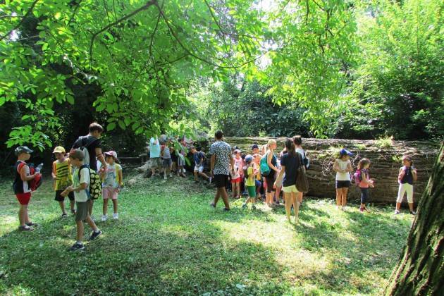 Cremona Il 23 novembre si va alla scoperta del Parco del Po e del Morbasco