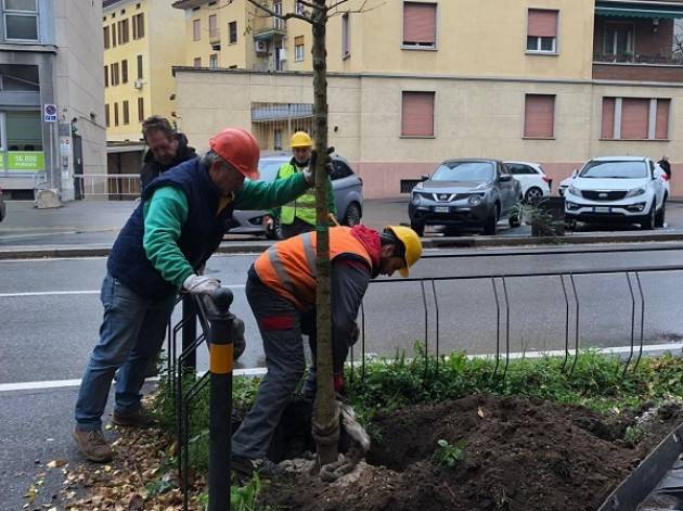 Giornata Nazionale degli Alberi, nuove piantumazioni in tutta la città di Cremona
