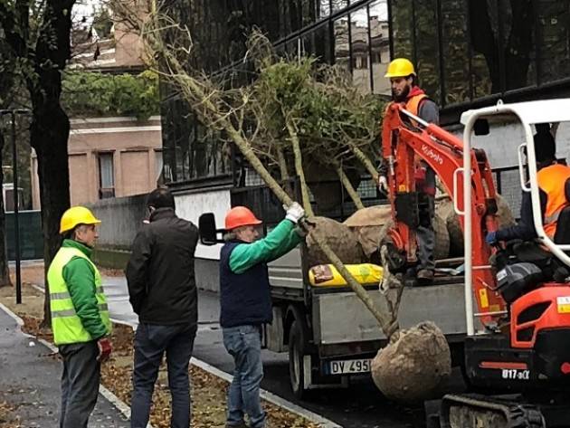 Giornata Nazionale degli Alberi, nuove piantumazioni in tutta la città di Cremona