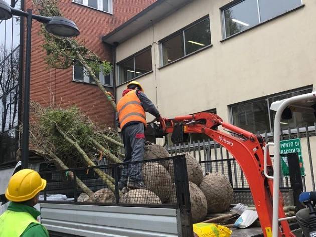 Giornata Nazionale degli Alberi, nuove piantumazioni in tutta la città di Cremona