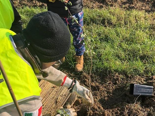 Bosco dei nuovi nati, anche il terzo lotto è realtà a Cremona