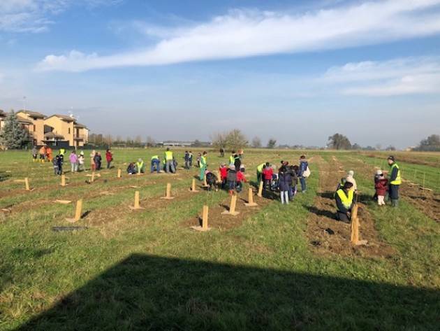 Bosco dei nuovi nati, anche il terzo lotto è realtà a Cremona