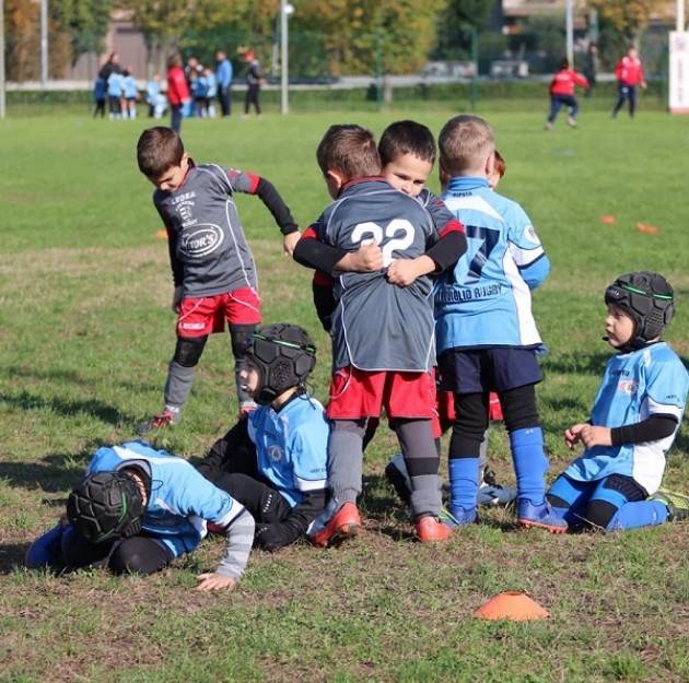 Cremona Rugby: i risultati di domenica 18/11