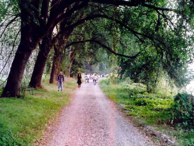 Cremona Il 30 novembre si va alla scoperta del Parco del Po e del Morbasco