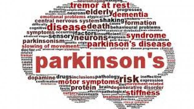 Cremona ‘Il Parkinson non è un cappello' di Claudio Ardigò