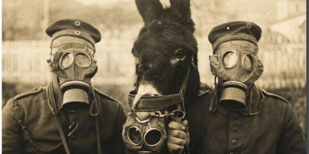 Centenario Grande Guerra CONCORSO DI DISEGNO PER LE SCUOLE PRIMARIE DI PIACENZA E PROVINCIA