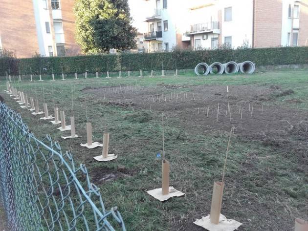  Cremona: connessione ecologica lungo il Morbasco, iniziati i lavori in via Lugo