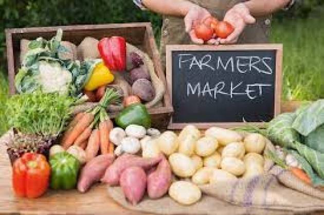 Milano Natale al farmers’ market fra cibi doc e abeti della solidarietà sabato 15 dicembre