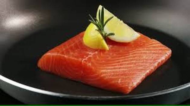 AMBIENTE: AICS, PARTE DA TOLFA CITTA' SLOW L'APPELLO PER UN NATALE 'SALMONE FREE'