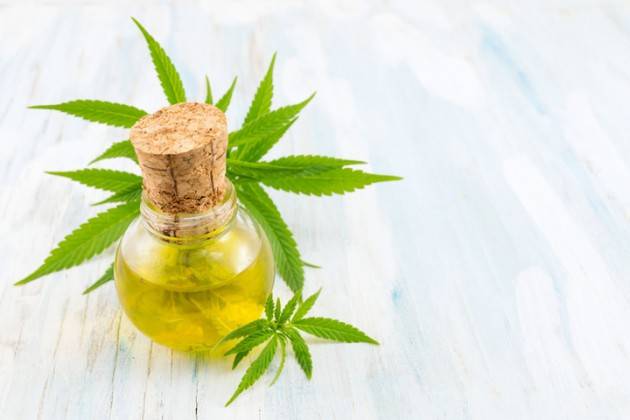 CANNABIS A USO MEDICO, OK DELL'OLANDA A MAGGIORI SCORTE.