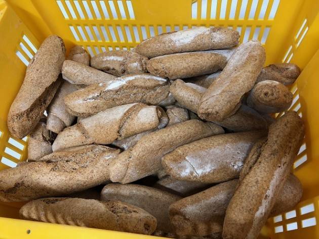 MILANO, IL MUNICIPIO 7 DONA 500 KG DI PANE ALL'ASSOCIAZIONE BENEFICA 'PANE QUOTIDIANO