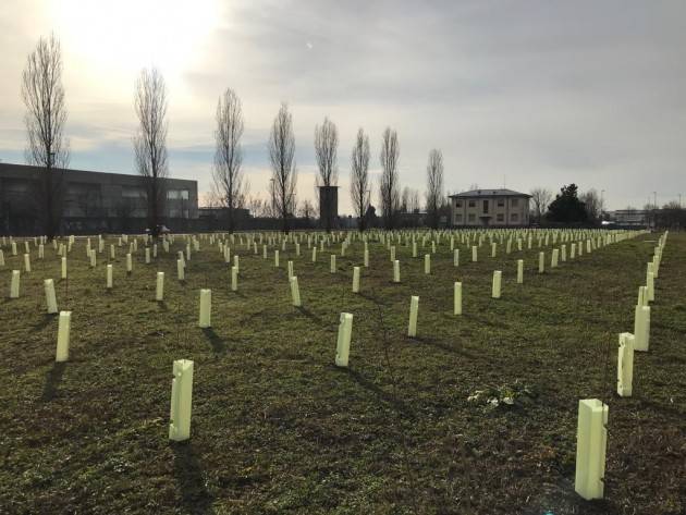 Prende il via l’intervento di piantumazione di 6.000 alberi nel Comune di Bergamo grazie all’impegno di E.ON Energia