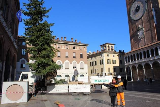 Cremona: L'albero di Natale di piazza del Comune crescerà alla scuola infanzia del Boschetto