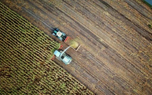 GAL Oglio Po - Contributi per le imprese agricole Domande entro il 29 marzo