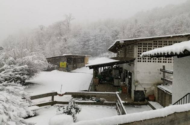 Lombardia Maltempo, neve è manna in inverno anomalo Trattori Coldiretti mobilitati contro rischio gelo