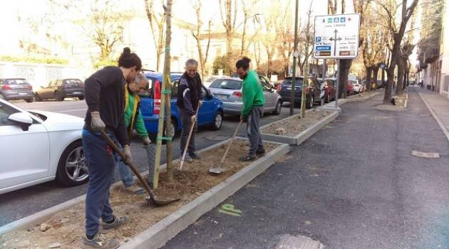 Ciclabile di viale Trento Trieste - Galimberti: «L'85% dei lavori è completato e continuiamo a ritmo serrato per terminare l'opera»