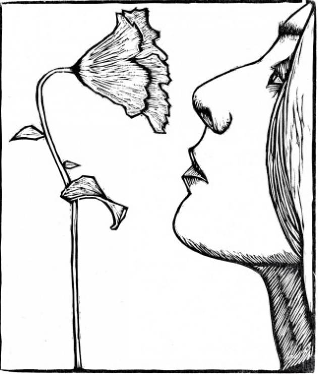 Crema Una rassegna in rosa e mostre bibliografiche per il mese di marzo Evento del 21 marzo