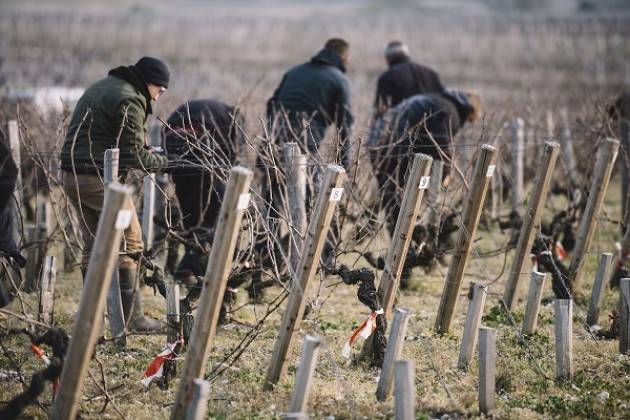 Il 9 marzo 2019 in Franciacorta 1° Festival italiano del Potatore