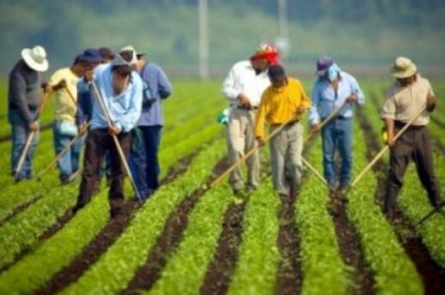 Agricoltura Flai, Fai e Uila: nel decreto emergenze dimenticati i lavoratori