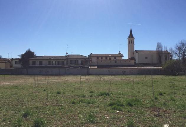 Galimberti: «Ecco i sessanta alberi che porteranno ombra nel parco del Boschetto»