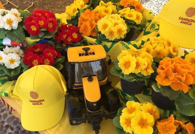 Crema, al Mercato di Campagna Amica è già primavera