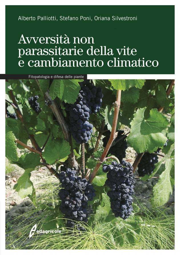 AVVERSITÀ NON PARASSITARIE DELLA VITE E CAMBIAMENTO CLIMATICO