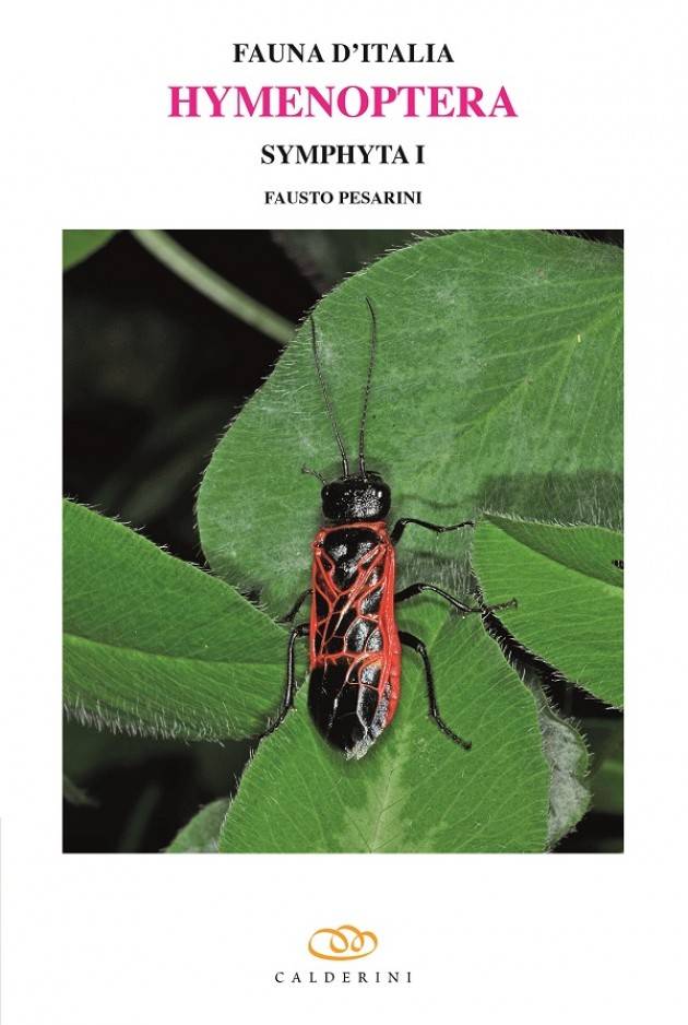 Libri Edagricole  FAUNA D'ITALIA VOL. LII - HYMENOPTERA - SYMPHYTA I di  Fausto Pesarini