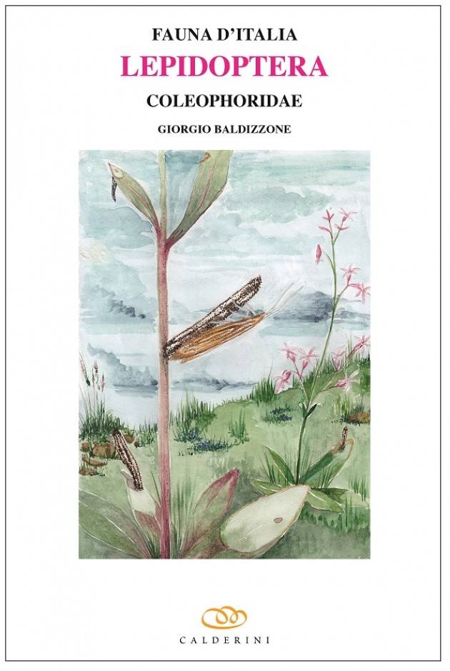 Edagricole  FAUNA D'ITALIA VOL. LIII - LEPIDOPTERA – COLEOPHORIDAE di  Giorgio Baldizzone