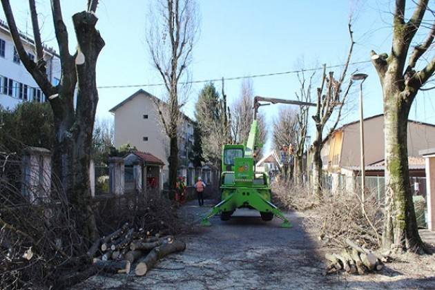 Crema: iniziata l'ultima fase dei lavori in via Bacchetta