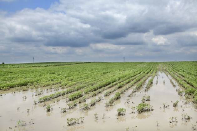 Maltempo: stalle scoperchiate, grandine su meloni, vigne e mais