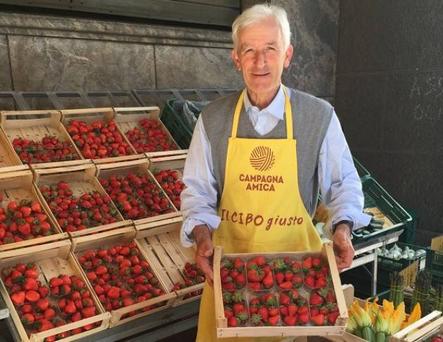“Voglia di fragole e ciliegie”, domani a Crema con Campagna Amica