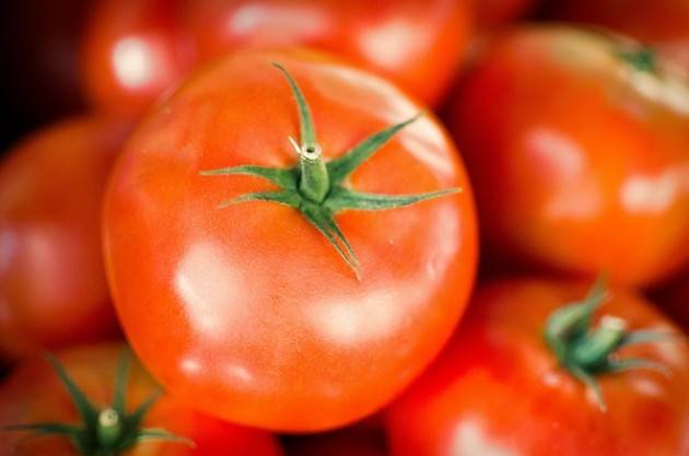 Il maltempo taglia il pomodoro: nei campi manca 1 piantina su 3