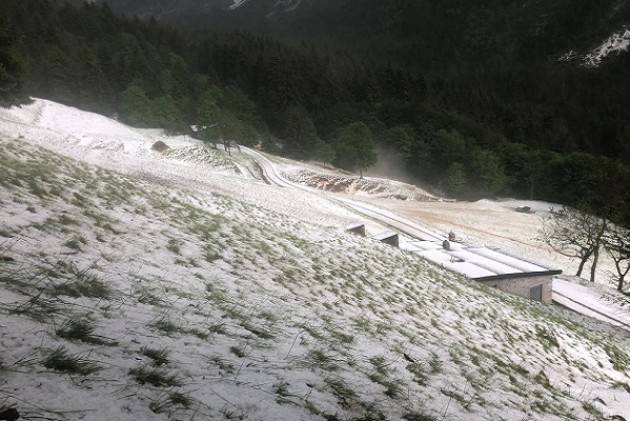 Maltempo: campi devastati dalla Valtellina al Cremonese