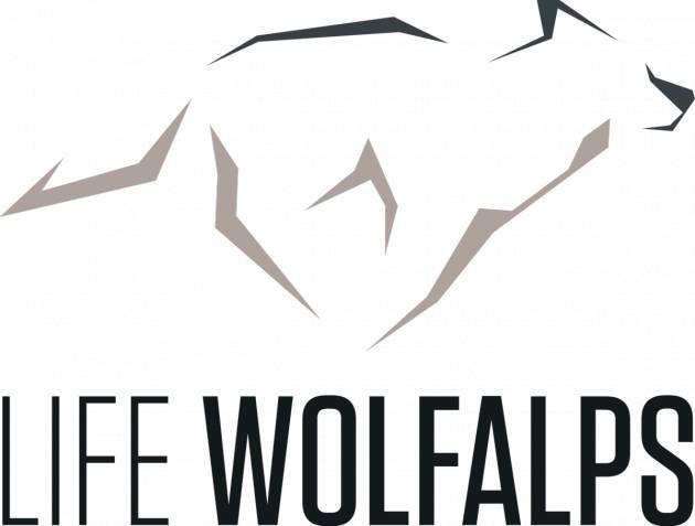 Salvaguardia del lupo nelle Alpi : Approvato il Progetto Life Wolfalps EU di Christian Flammia 