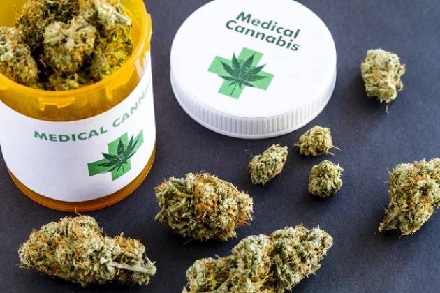 ADUC Cannabis terapeutica. Salute, business e ridicolo. Il ‘caso Italia’